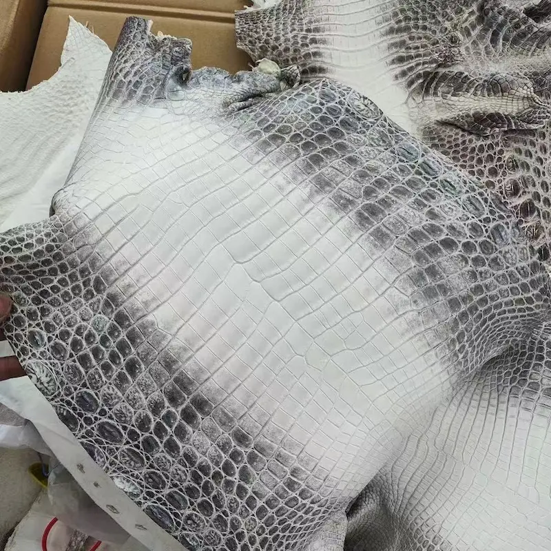 Himalayan Crocodile Leather Detail - Scale Pattern & Coloration Close-up of Himalayan Crocodile Skin - Premium Material for Hermes Birkin 30 Replica