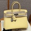 Hermes Birkin 25CM Clemence Leather Jaume Poussin
