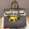 Hermes Birkin 25 in Etain Epsom Leather PHW