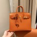Hermes Birkin 25 in Orange Epsom Leather PHW