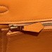 Hermes Birkin 25 in Orange Epsom Leather PHW