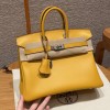 Hermes Birkin 25 in Swift Leather June Mango