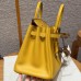 Hermes Birkin 25 in Swift Leather June Mango