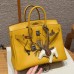 Hermes Birkin 25 in Swift Leather June Mango