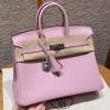 Hermes Birkin 25 in Swift Leather Mauve